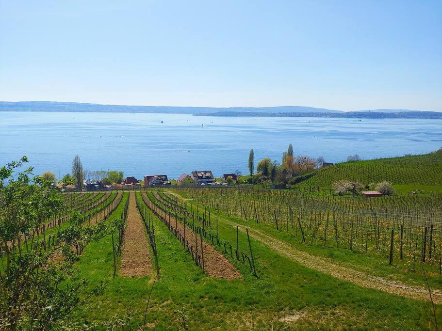 Ferienwohnung Rodtsches Palais 6 Meersburg Exteriér fotografie